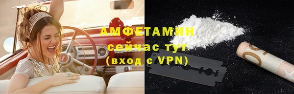 сатива Дмитровск