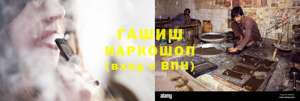 сатива Дмитровск