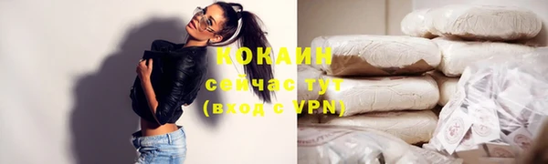 хмурый Дмитриев