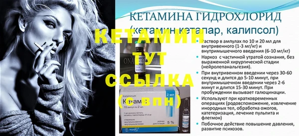 сатива Дмитровск