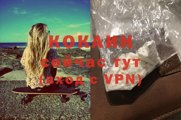 хмурый Дмитриев