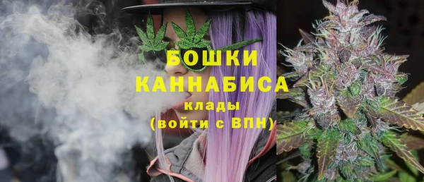 хмурый Дмитриев