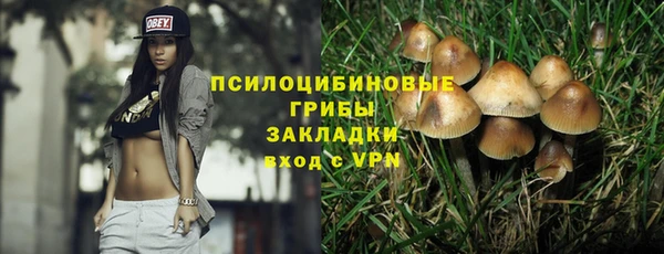 хмурый Дмитриев