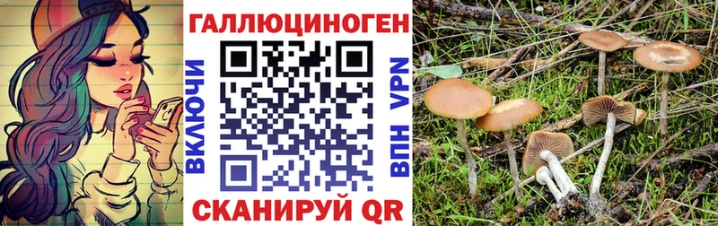 Псилоцибиновые грибы GOLDEN TEACHER  Купить где  Миньяр 
